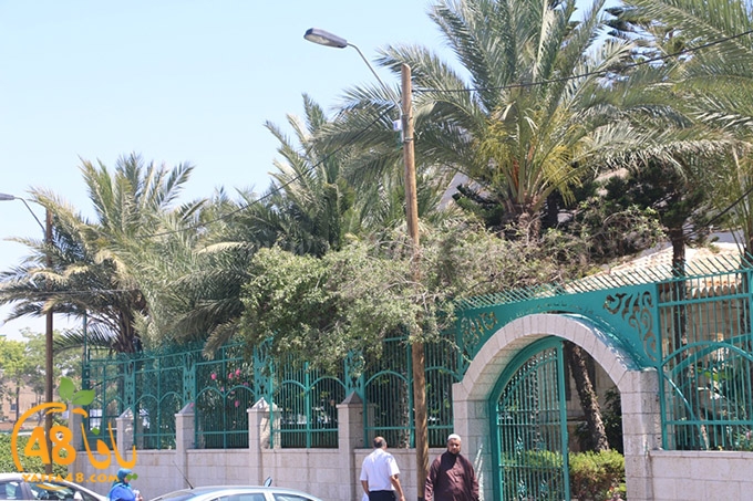 inara 7sanbek (4).JPG